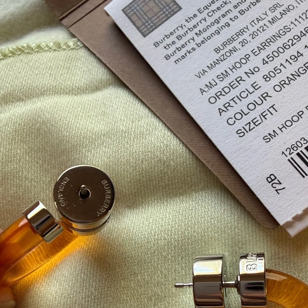 NWT Burberry Small Hoop Orange and Silver Earrings 25mm - Picture 5 of 9